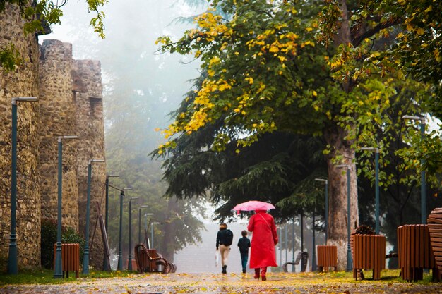 Photo rear view of people walking on rainy day