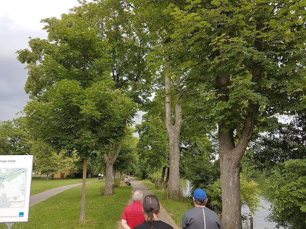 Foto vista posteriore di persone che camminano sulla strada tra gli alberi