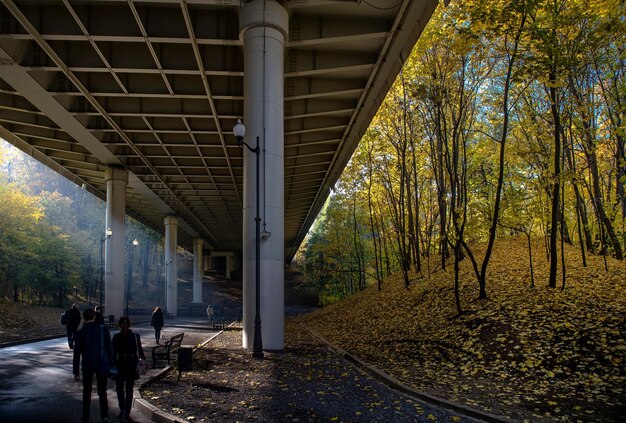 Foto vista posteriore di persone che camminano sulla strada sotto il ponte dagli alberi d'autunno