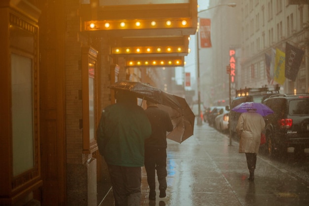 Rear view of people walking on wet illuminated road during rainy season