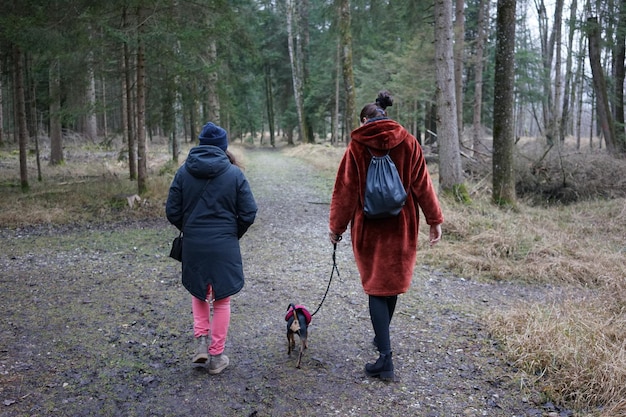 Photo rear view of people walking with dog on street