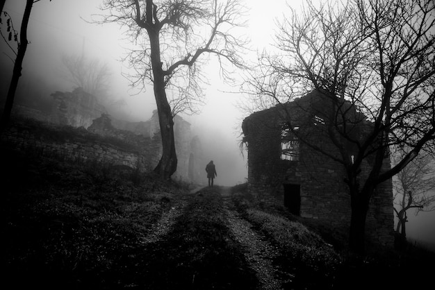 rear view of person on field during foggy weather