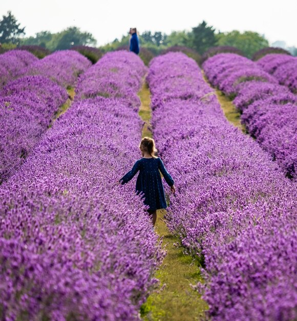 Photo rear view of person on lavender field