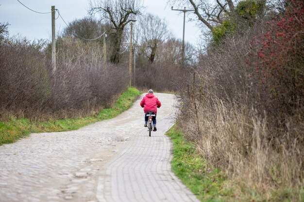 Photo rear view of person riding bicycle on footpath amidst bare trees during winter