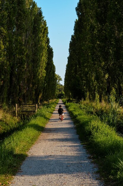 樹木の中の道路に乗っている人の後ろの景色