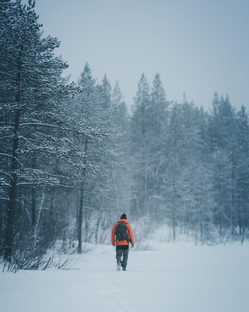 雪で覆われた土地でスキーをしている人の後ろの景色