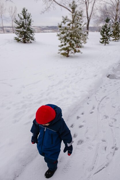 Rear view of person on snow covered field