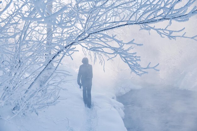 Rear view of person walking on snow covered land