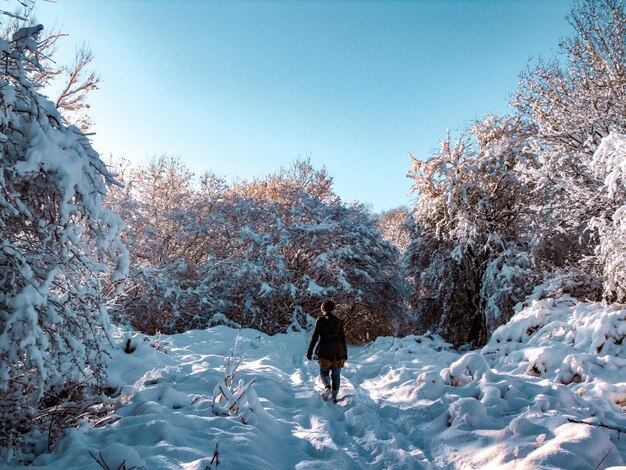 雪で覆われた土地を歩いている人の後ろの景色