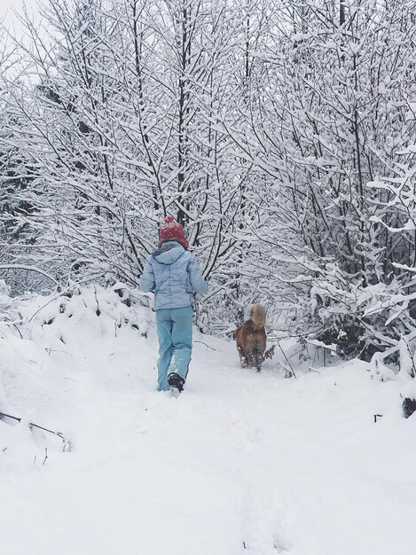 雪に覆われたフィールドで犬と歩いている人の後ろの景色