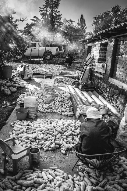 Photo rear view of person with corns by barn at farm