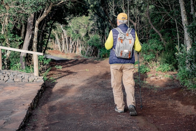 Rear view of senior man enjoying freedom in outdoors walking in a mountain footpath Elderly active man traveling in a park holding backpack and stick