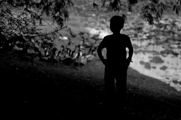 Photo rear view of silhouette boy standing on field