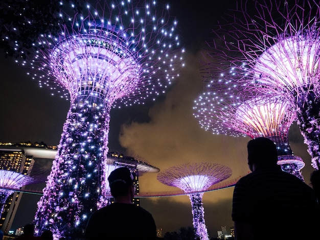 Photo rear view of silhouette men standing in front of illuminated supertree grove