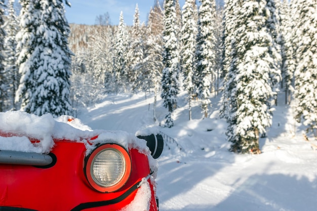 Rear view of the snowcat cabin on the background of a snowy forest