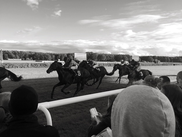 Rear view of spectators enjoying horse race
