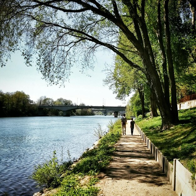 Photo rear view of two people on walkway along calm lake