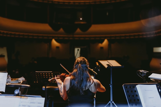 Rear view violinist playing