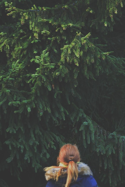 Foto vista posteriore di una donna contro un albero