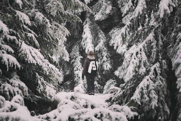 Foto vista posteriore di una donna tra gli alberi coperti di neve