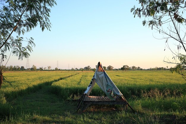 Photo rear view of woman on field against sky during sunset