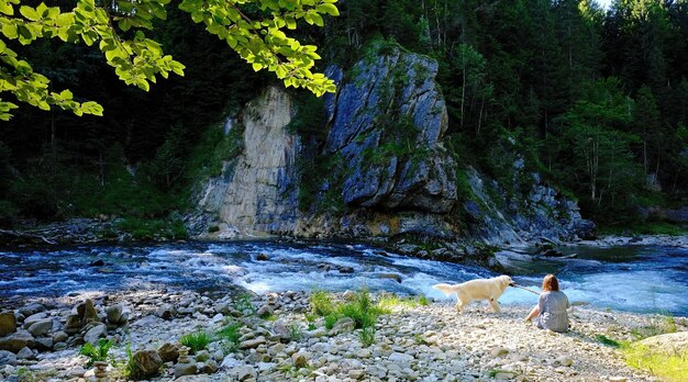 Foto vista posteriore di una donna e di un golden retriever sulla riva del fiume contro una formazione rocciosa