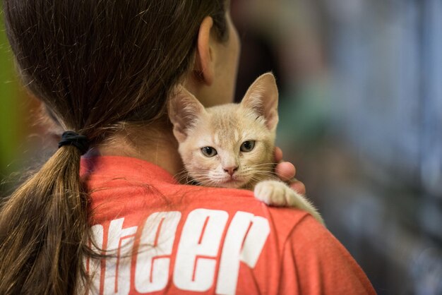 Photo rear view of woman holding kitten