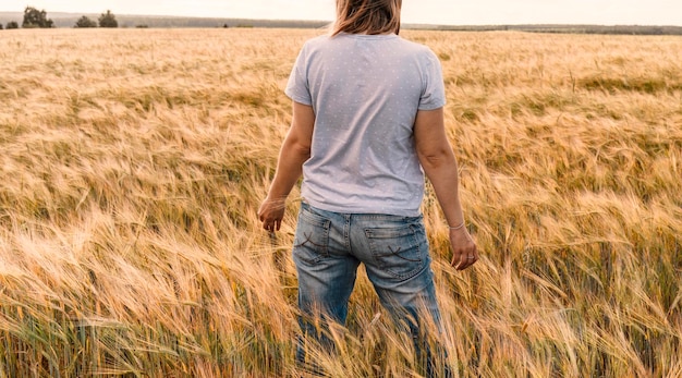 Rear view woman in jeans among yellow dry cereal wheat field agriculture and grain harvest Mockup