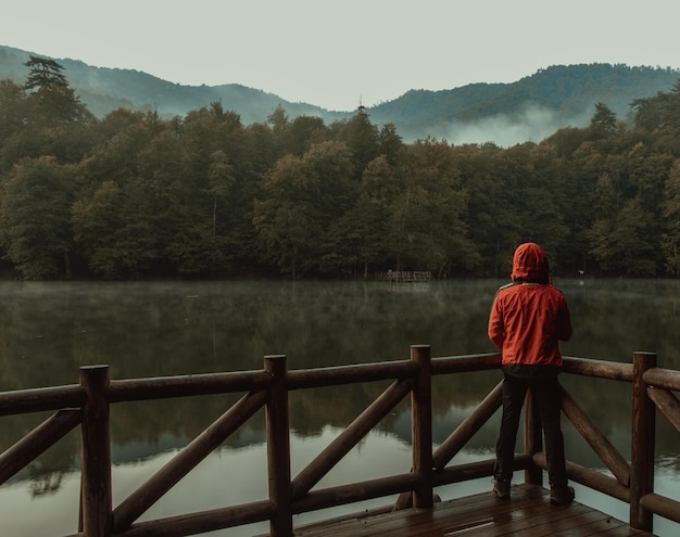 Photo rear view of woman looking at lake against mountain