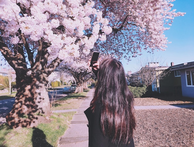 Photo rear view of woman photographing cherry tree through mobile phone
