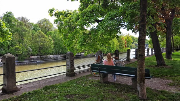 Rear view of woman sitting on bench at park