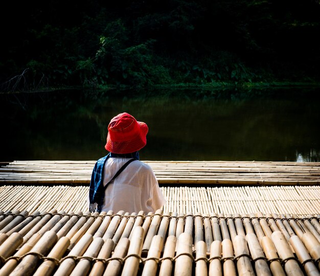 Foto vista posteriore di una donna seduta sul legno contro gli alberi