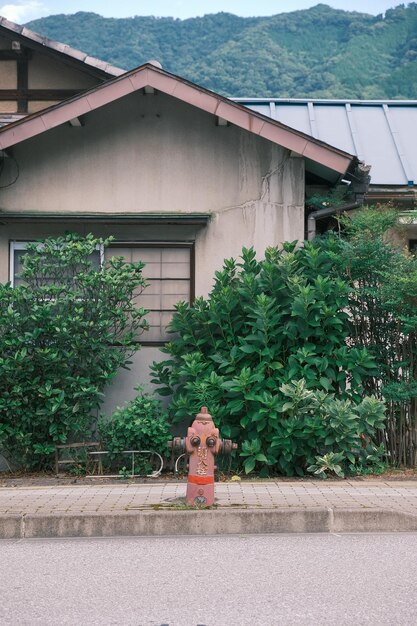 Photo rear view of woman standing against building