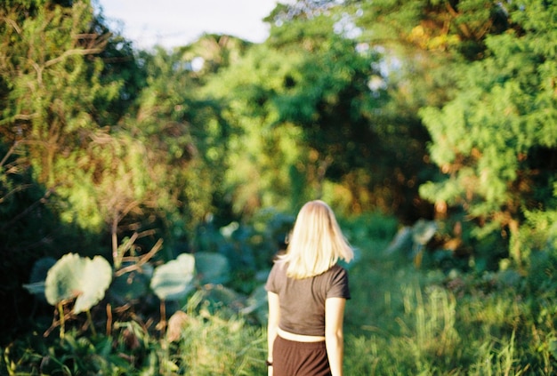 Photo rear view of woman standing against trees