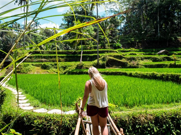 Photo rear view of woman standing on agriculture field