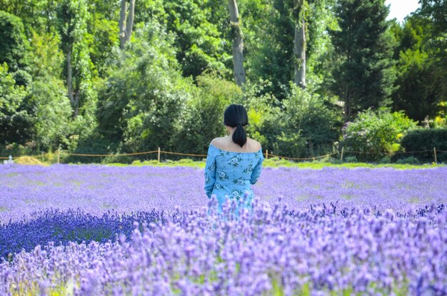 Rear view of woman standing amidst flowering plants