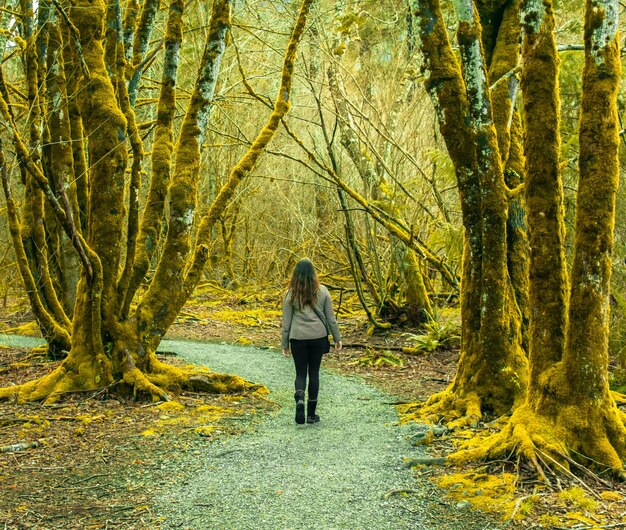 Photo rear view of woman standing amidst trees in forest