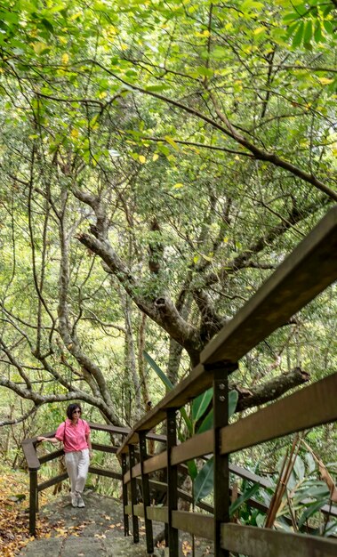 Photo rear view of woman standing by plants