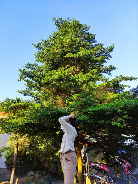 Rear view of woman standing by tree against sky