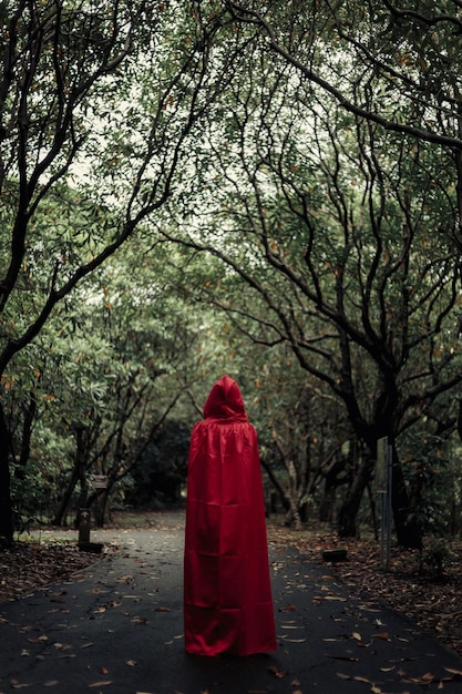 rear view of woman standing by trees in forest