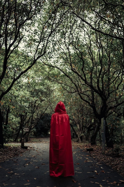 Rear view of woman standing by trees in forest