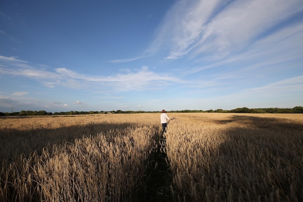 Photo rear view of woman standing on field against sky