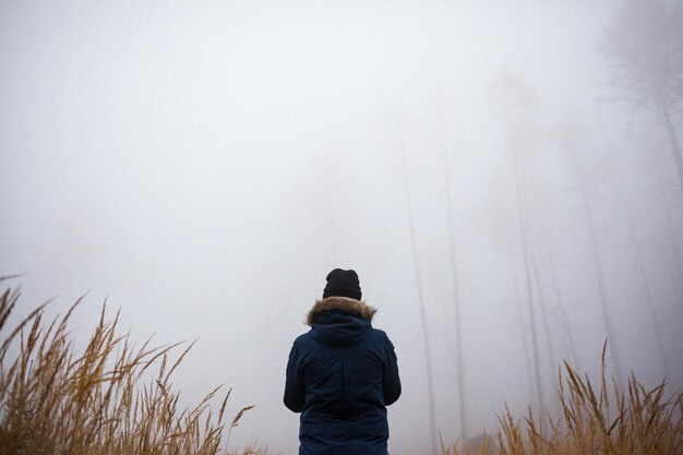 霧の天候で森に立っている女性の後ろの景色