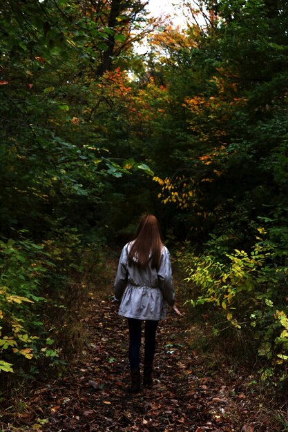 Foto vista posteriore di una donna in piedi nella foresta