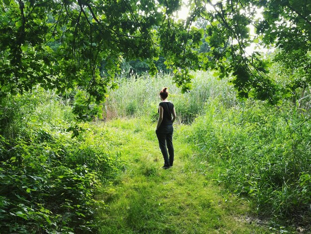 Rear view of woman standing in forest