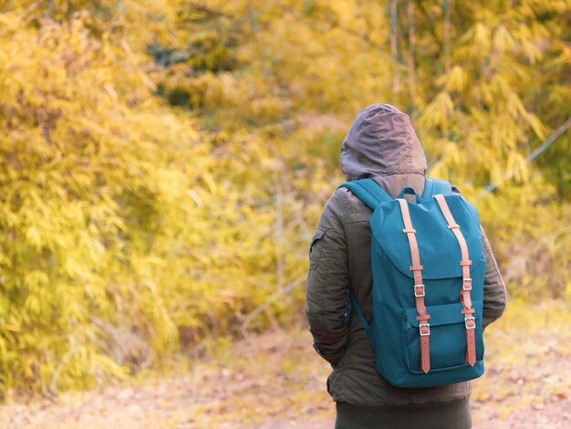 Rear view of woman standing in forest