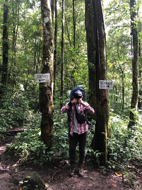 Foto vista posteriore di una donna in piedi nella foresta