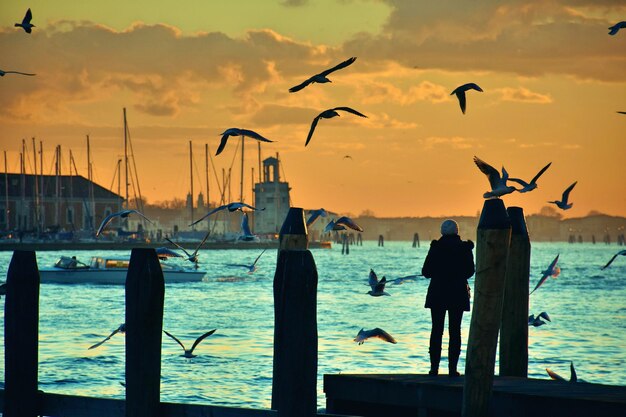 Foto vista posteriore di una donna in piedi sul molo mentre gli uccelli volano sul lago contro il cielo durante il tramonto