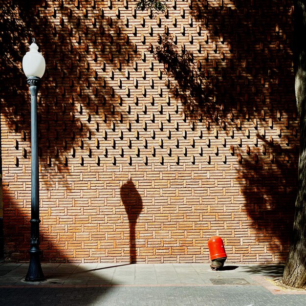 Photo rear view of woman standing on street