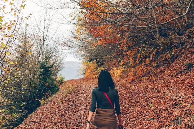 秋の葉の上を歩く女性の後ろの景色